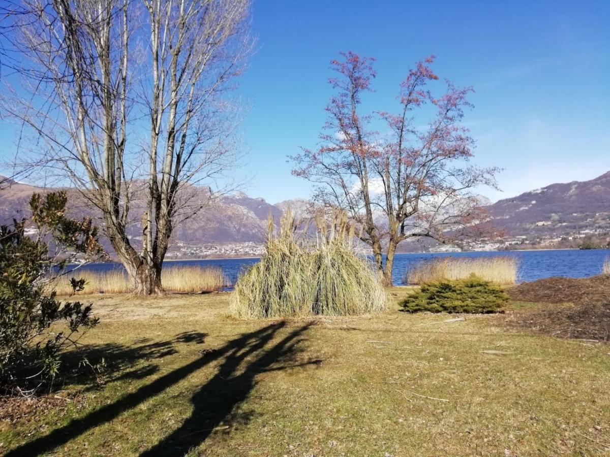 Oggiono La Poesia Del Lago المظهر الخارجي الصورة