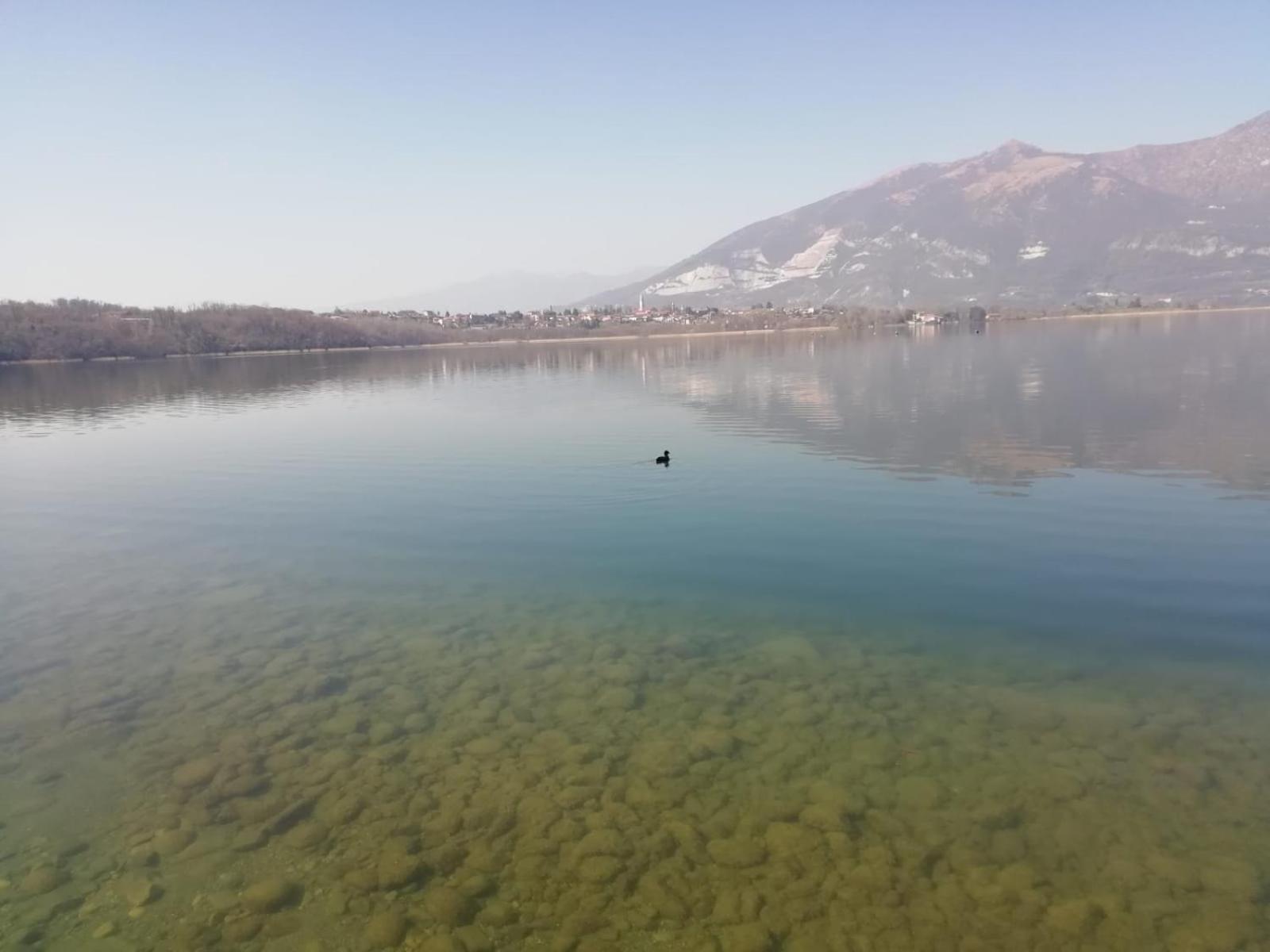 Oggiono La Poesia Del Lago المظهر الخارجي الصورة