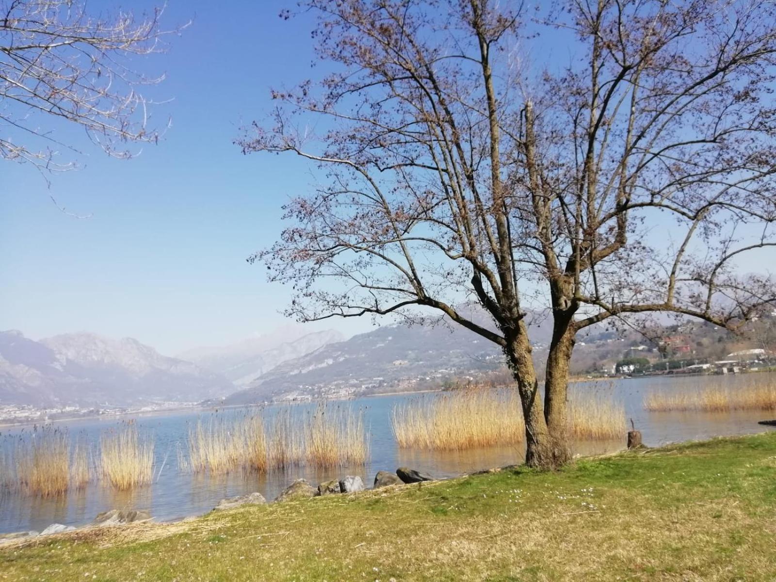 Oggiono La Poesia Del Lago المظهر الخارجي الصورة